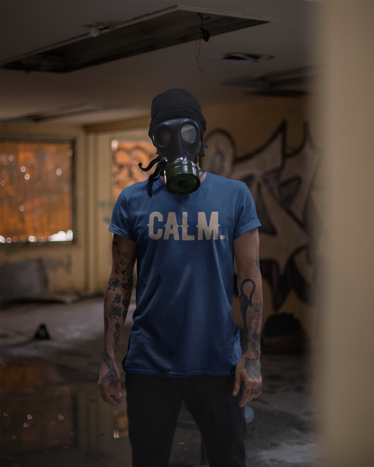 Blue/Khaki t-shirt